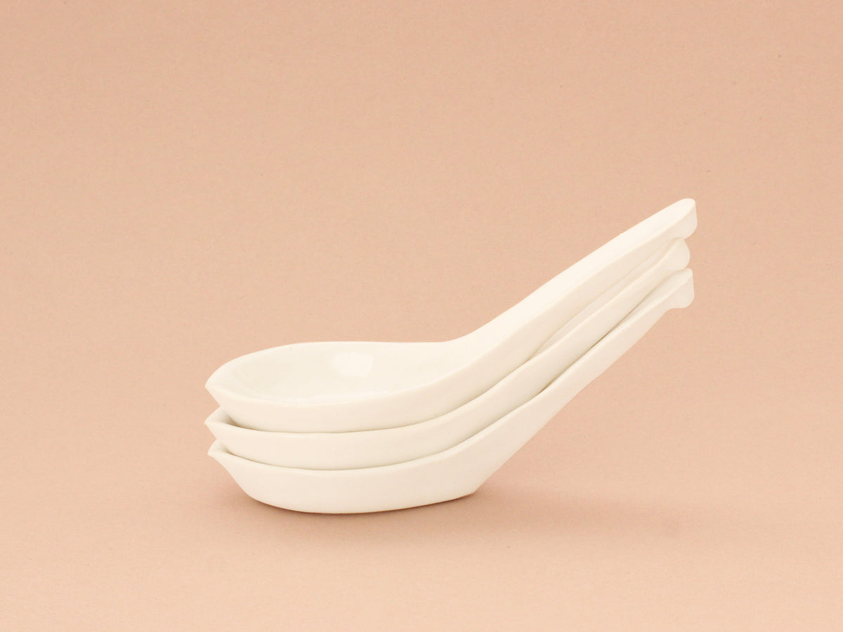 田中直純 茶壺 中国茶