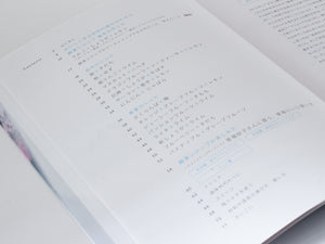 続 手作り酵素シロップ／杉本 雅代