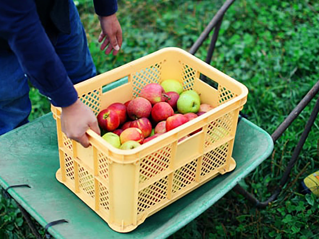【大容量】リンゴリらっぱの100％自家農園産リンゴジュース1000ml
